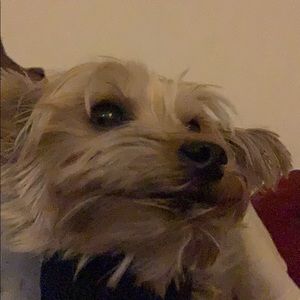 Meet your Posher, Larry